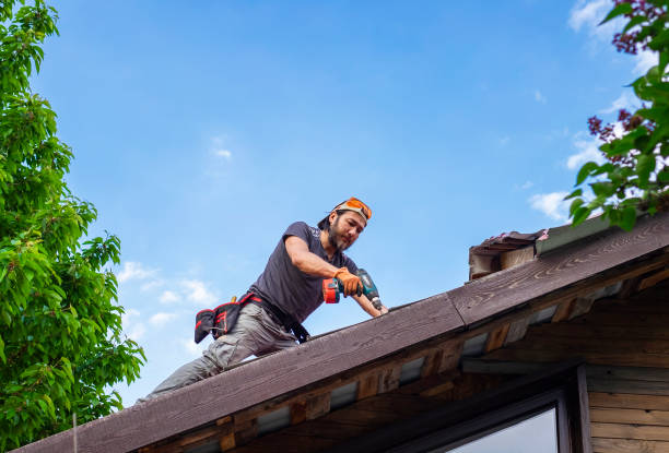 Reliable Painesville, OH Roofing service Solutions