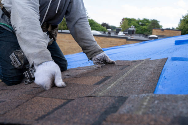 Roof Moss and Algae Removal in Painesville, OH